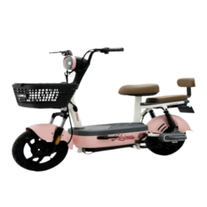 EFB 10